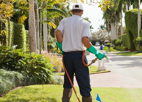 About Jeffersonville NY Pest Control